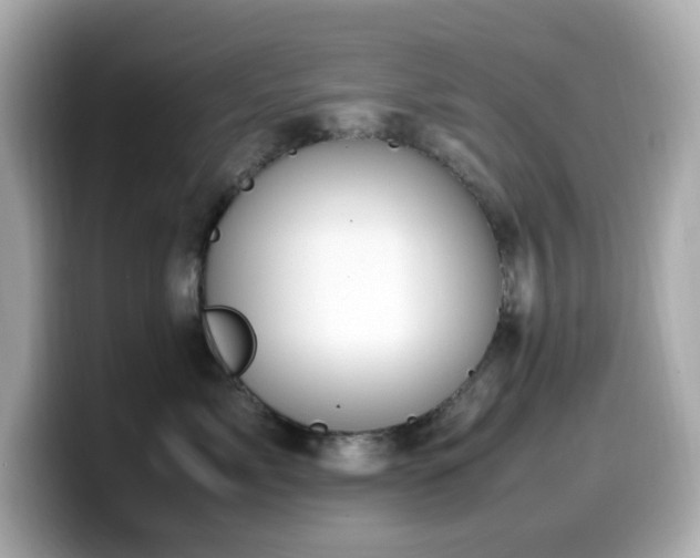 X0000099930717200805231230