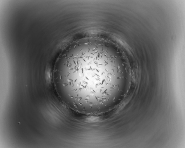 X0000099930718200805231230