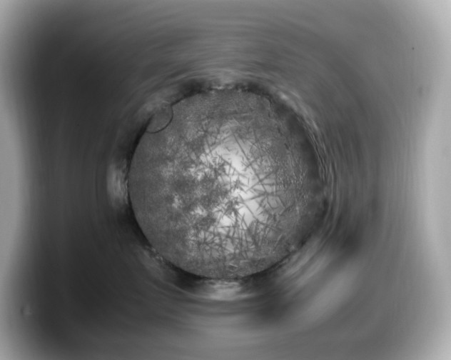 X0000099930719200805231230