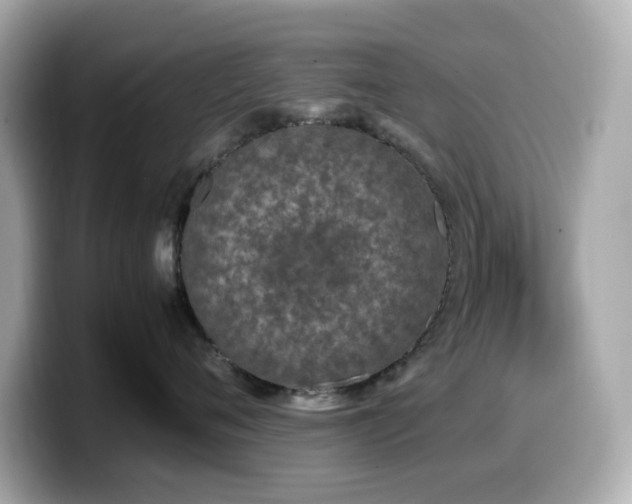 X0000099930720200805231230