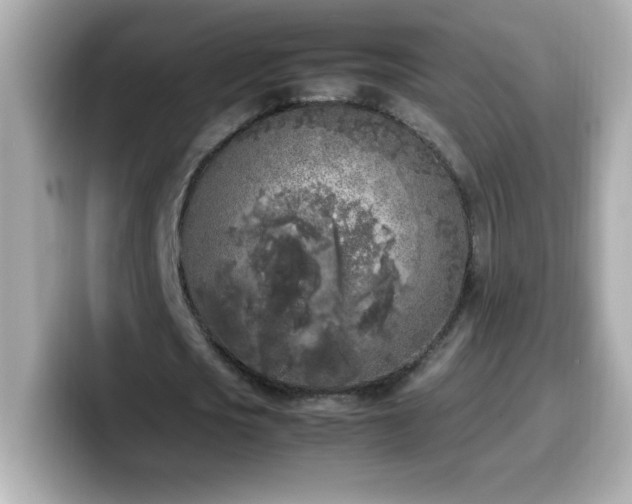 X0000099930721200805231230