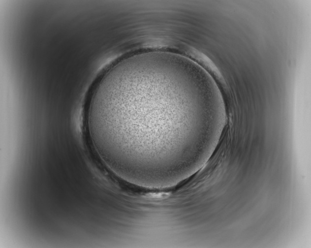 X0000099930724200805231230