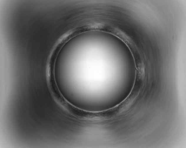 X0000099930726200805231230