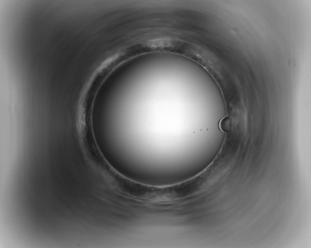 X0000099930727200805231230