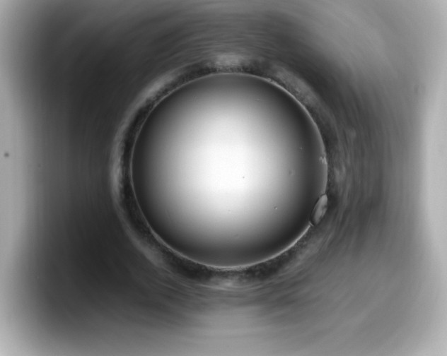 X0000099930728200805231230