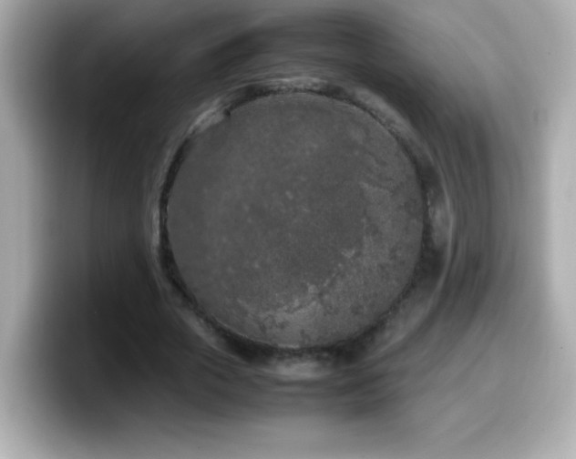 X0000099930729200805231230