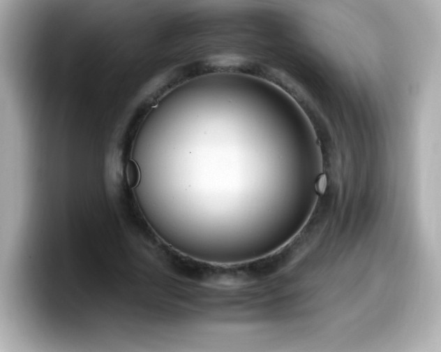 X0000099930731200805231230