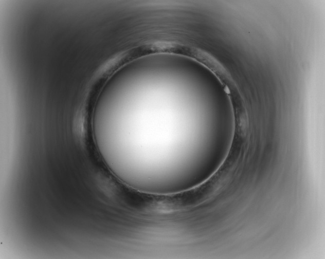 X0000099930732200805231230