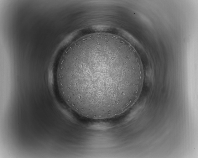 X0000099930734200805231230