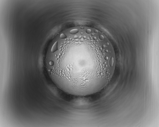 X0000099930738200805231230