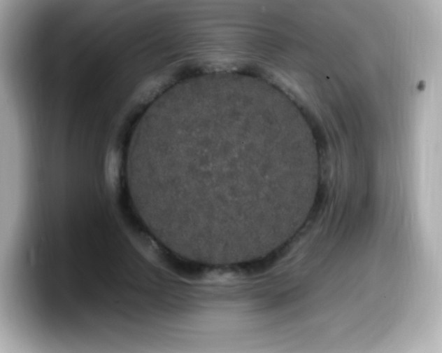 X0000099930742200805231230