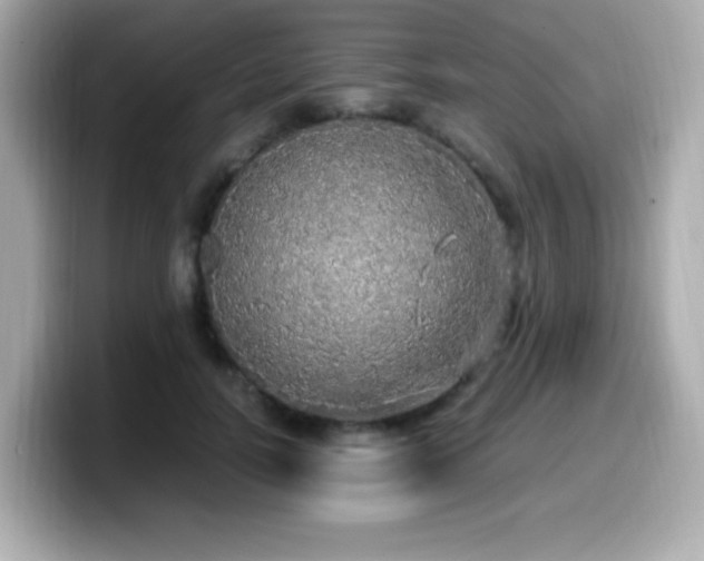 X0000099930746200805231230