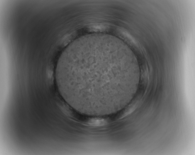X0000099930749200805231230