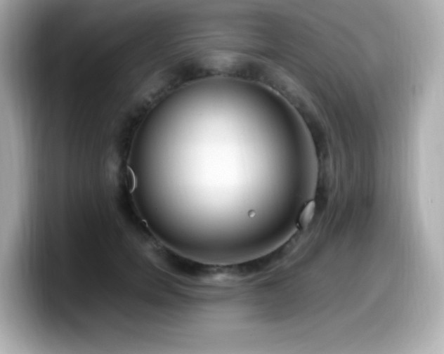 X0000099930750200805231230