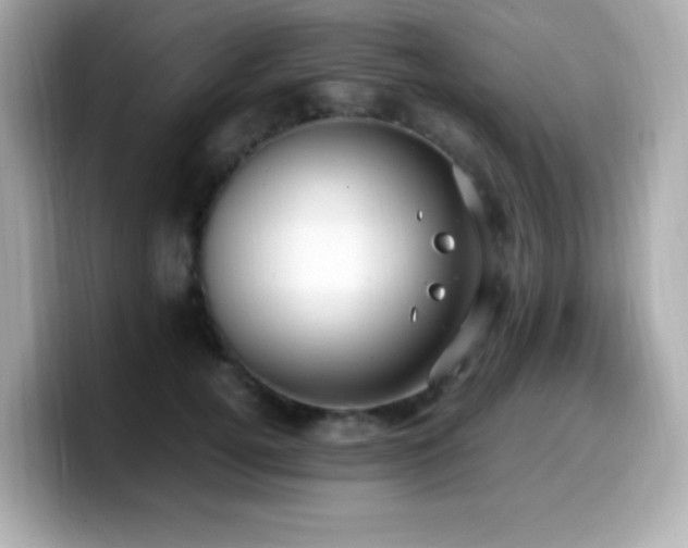 X0000099930752200805231230