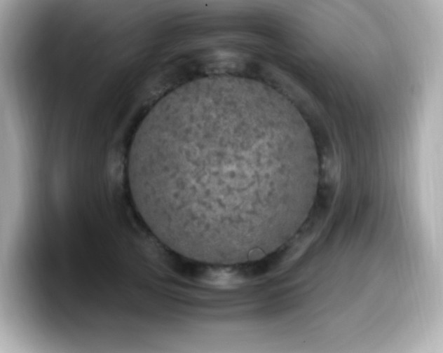 X0000099930753200805231230