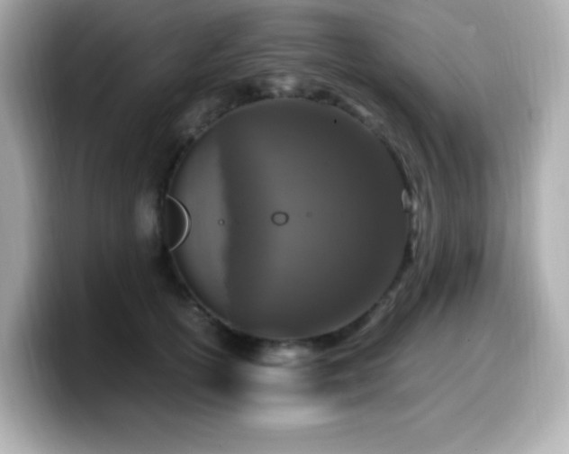 X0000099930754200805231230