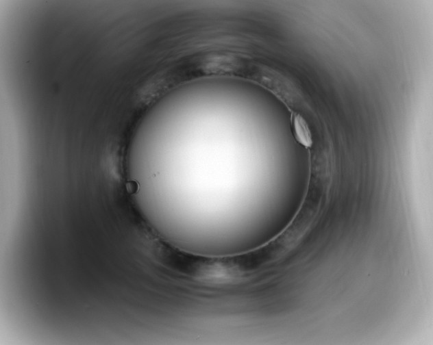 X0000099930755200805231230