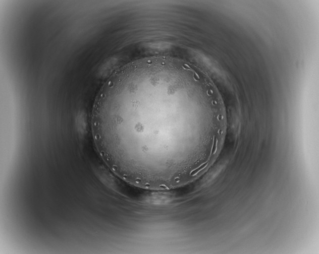 X0000099930758200805231230