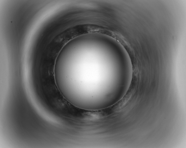 X0000099930763200805231230