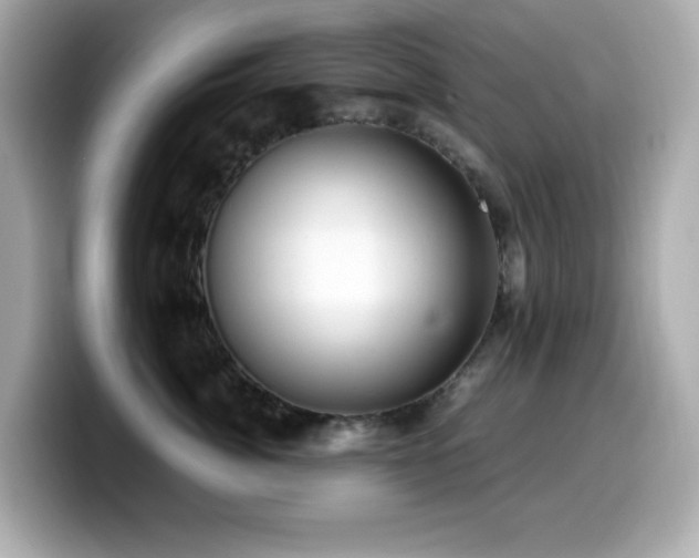 X0000099930764200805231230