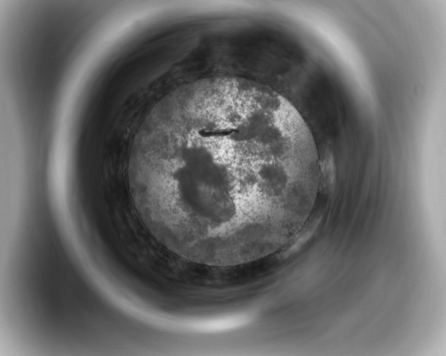 X0000099930765200805231230