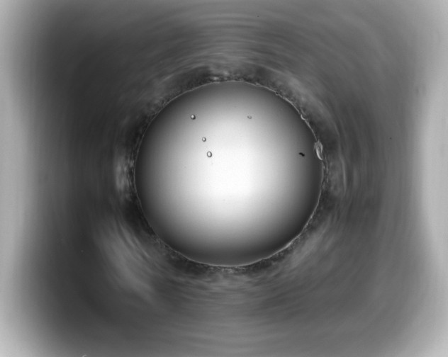 X0000099930770200805231229
