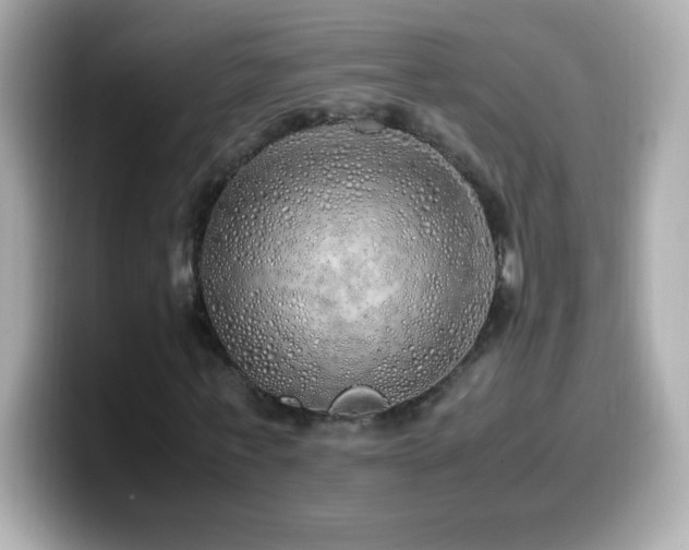 X0000099930771200805231229