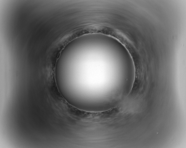 X0000099930773200805231229