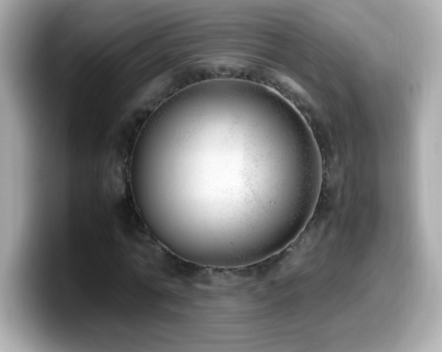 X0000099930774200805231229