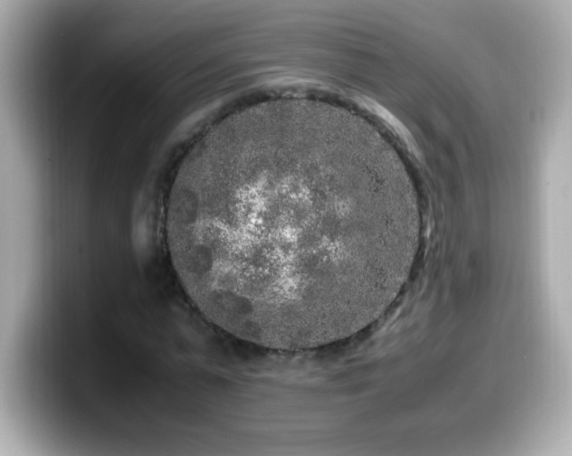 X0000099930775200805231229