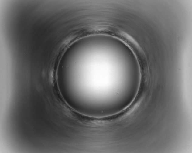 X0000099930777200805231229