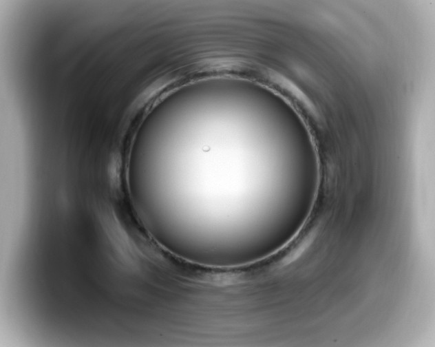 X0000099930778200805231229