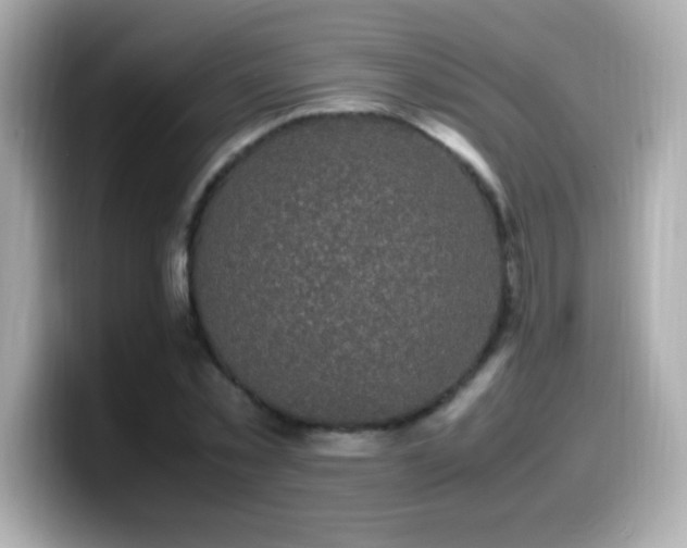 X0000099930781200805231229