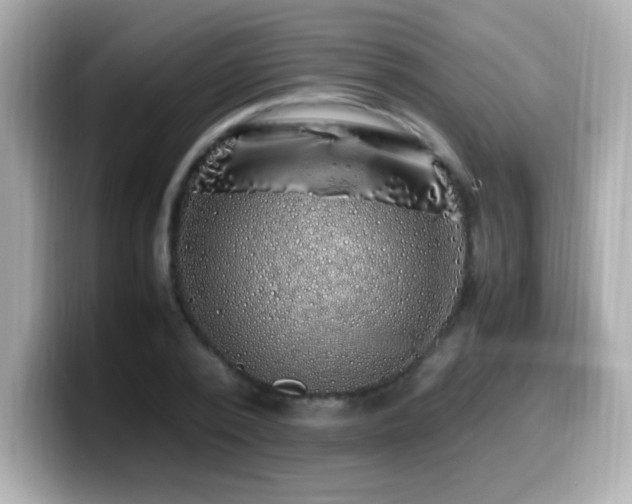 X0000099930784200805231229