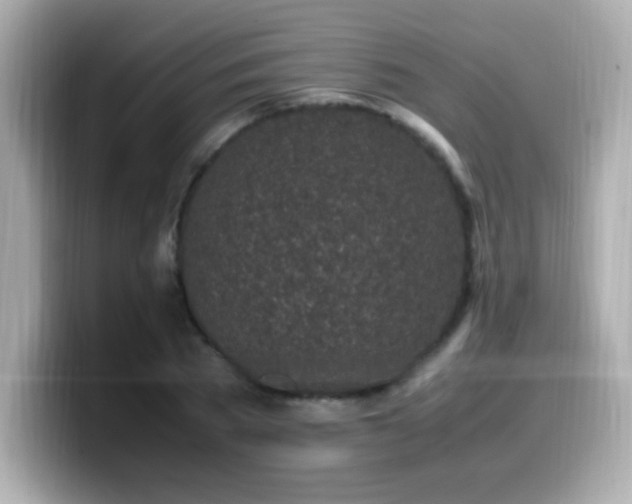 X0000099930785200805231229