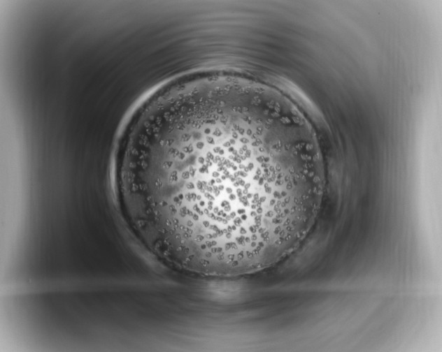 X0000099930788200805231229
