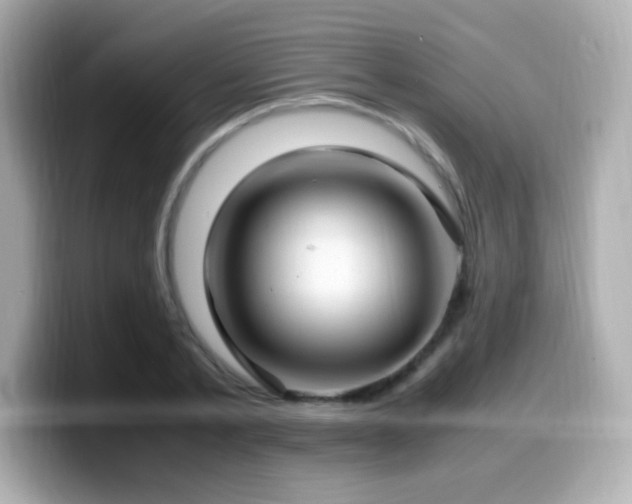 X0000099930789200805231229