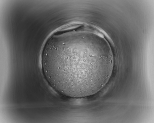 X0000099930791200805231229