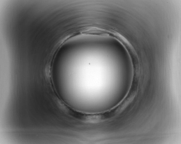 X0000099930793200805231229