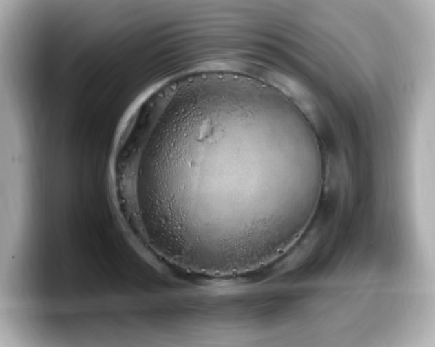 X0000099930796200805231229