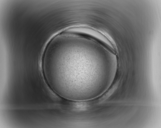 X0000099930797200805231229