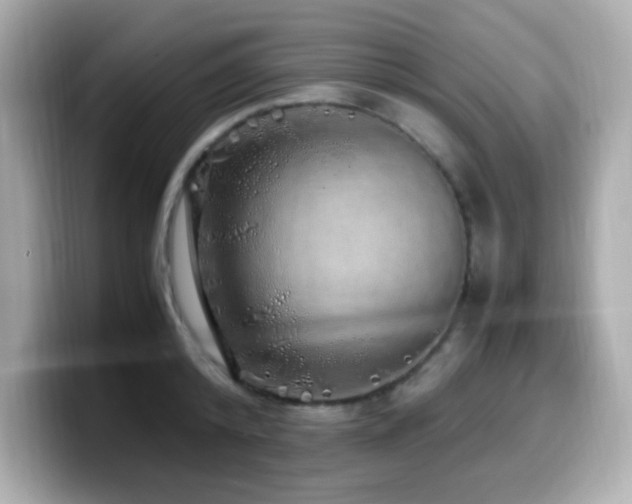 X0000099930800200805231229