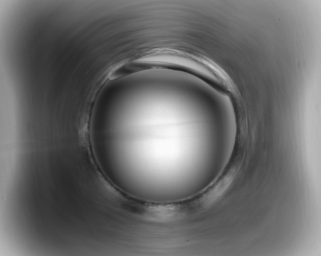 X0000099930801200805231229