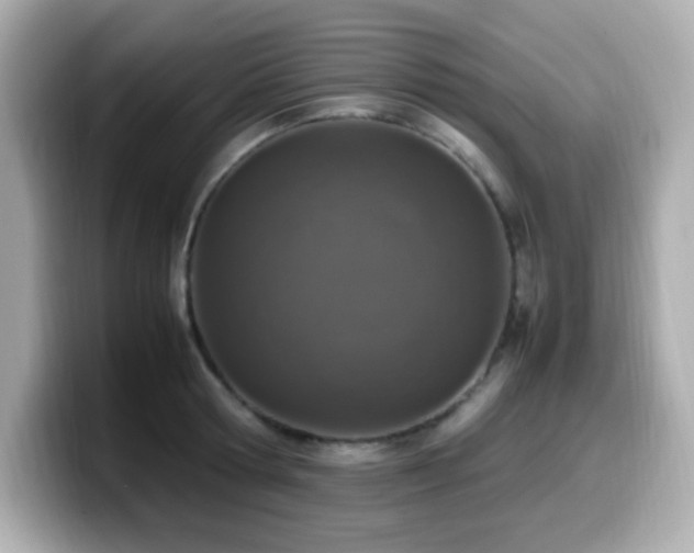 X0000099930802200805231229