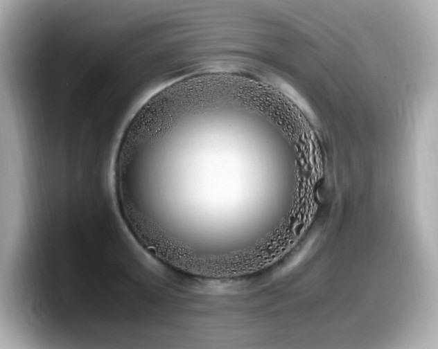 X0000099930803200805231229