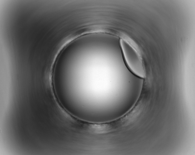 X0000099930805200805231229