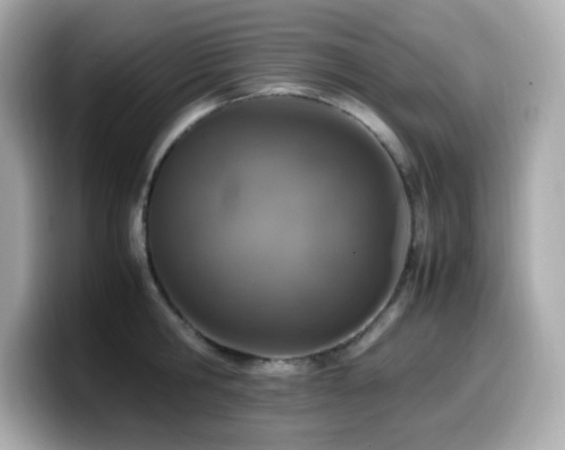 X0000099930806200805231229