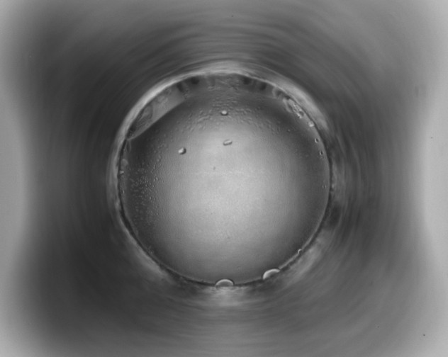 X0000099930808200805231229