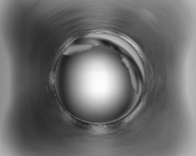 X0000099930809200805231229